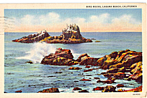 Bird Rocks Laguna Beach California P25153