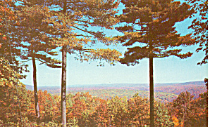 Autumn Foliage Postcard P27059