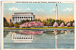 Cherry Blossoms Lincoln Memorial Washington Dc P27183
