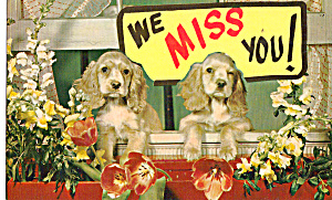 Cocker Spaniels Postcard p27936 (Image1)