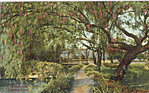 Irrigating Canal California Postcard p28242 (Image1)