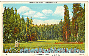 Crescent Meadows Sequoia National Park CA p28290 (Image1)