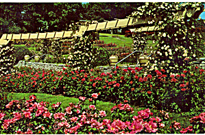 Hershey Rose Garden Hershey Pennsylvania p28478 (Image1)