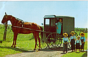 Amish Children at Buggy waiting for Parents p28609 (Image1)