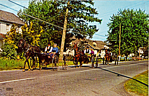 Amish Young Folks In Buggies For Sunday Drive P28616