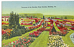 Hershey Rose Garden Hershey PA p29293 (Image1)