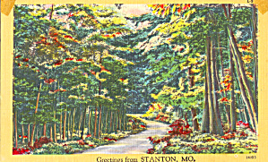 Forest Road Scene Stanton Missouri P29369