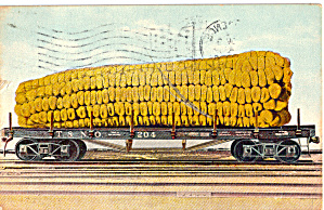 Ear Of Corn On A Railroad Car 1908 Postcard P29848