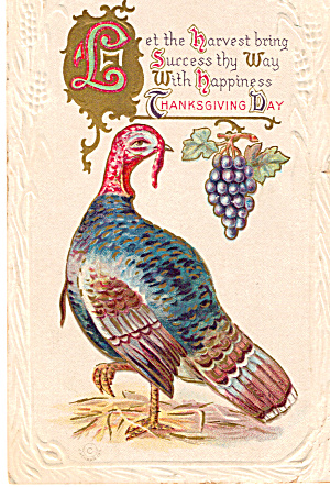 Thanksgiving Greeting Postcard p30457  1911 (Image1)