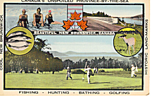 New Brunswick Canada Tourism Advertising Postcard P30645