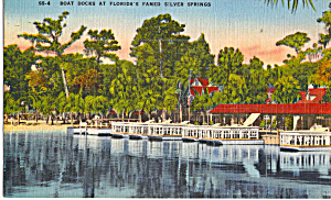 Boat Docks Silver Springs Florida p30900 (Image1)