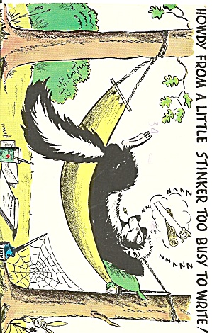 Sleeping Skunk In Hamock Comic Postcard P30993