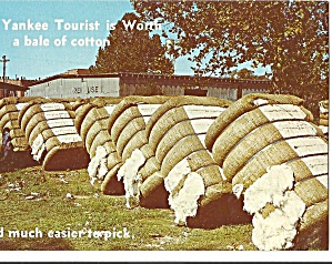Every Yankee Tourist Is Worth A Bale Of Cotton Postcard P31125