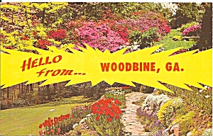 Hello from Woodbine Georgia Flower Garden p32124 (Image1)