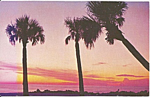 Sarasota Florida Sunset Over Lido Beach p32918 (Image1)