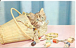 Kitten In Basket Little Miss Mischief Postcard P33027