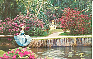 Cypress Gardens Fl Beautiful Southern Belles P33120