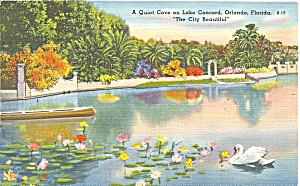 Orlando FL Lake Concord  Swan on Lake p33335 (Image1)