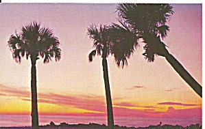 Sarasota Fl Sunset At Lida Beach P33357