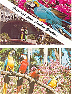 Sunken Gardens, FL  Postcard Lot of 2 p3450 (Image1)