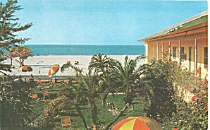 St Petersburg Fl Arvilla Motel Postcard P36151