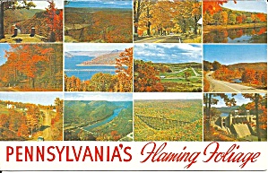 Pennslyvania S Flaming Foliage Thumnail Views P36380