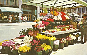 San Francisco Ca Sidewalk Flower Carts P36496