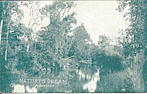 Nature s Dream by Scheuer postcard p36616 (Image1)