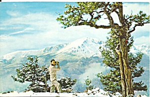 Pikes Peak Co In Winter P37460