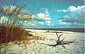 Virginia Beach Va Postcard P38258