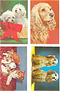 Dogs and Puppies Postcard Lot 4 p3864 (Image1)