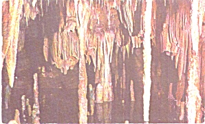 Stanton Mo Maremec Caverns Jungle Room P39103