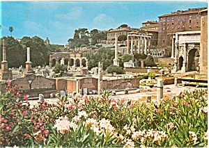 Rome Italy Roman Forum Postcard p3920 (Image1)