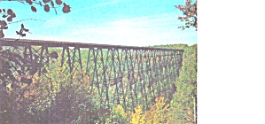 Near Jewett  PA View of KInzua Bridge  from Lookout State Park p39346 (Image1)