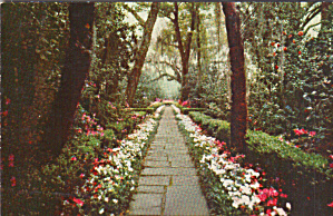 Mobile Alabama Bellingrath Gardens Flowers on Path Postcard P40370 (Image1)
