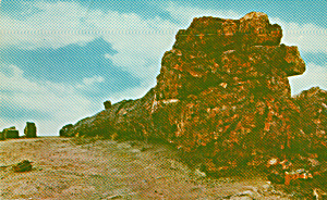 Petrified Forest National Monument Arizona Old Faithful P40608