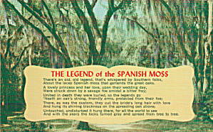 The Legend Of The Spanish Moss Postcard P41007