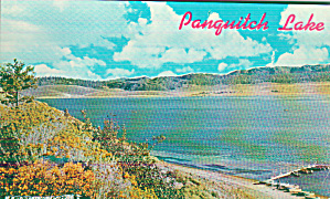 Panquitch Lake Utah Birds Eye View Postcard P41272