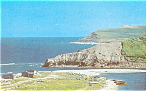Robinson s Newfoundland Postcard p4677 (Image1)