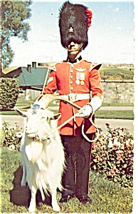 Corporal and Baptiste The Mascot Canada Postcard p4788 (Image1)