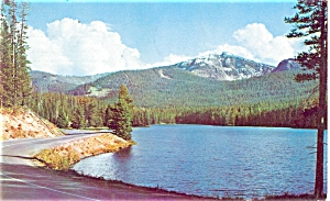 Sylvan Lake Yellowstone River  WY Postcard p5141 (Image1)