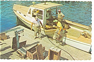 Lobster Boat Postcard p5977 (Image1)