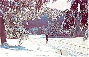 Winter in The Poconos of PA Postcard p6036 (Image1)