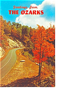 Fall Scene in the Ozarks Postcard p6653 (Image1)