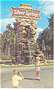 Silver Springs FL Entrance and Sign Postcard p8010 (Image1)