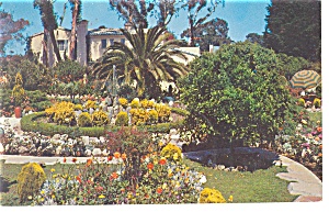 Flower Gardens Santa Monica Ca Postcard P8864