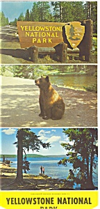 Yellowstone National Park Wy Postcards Glory Pool Sf0130