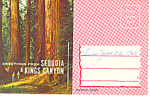Sequoia Kings Canyon Park Ca Souvenir Folder Sf0291