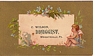 C Wilson Druggist Trade Card Tc0122