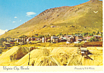 Virginia City Nevada Postcard cs1220